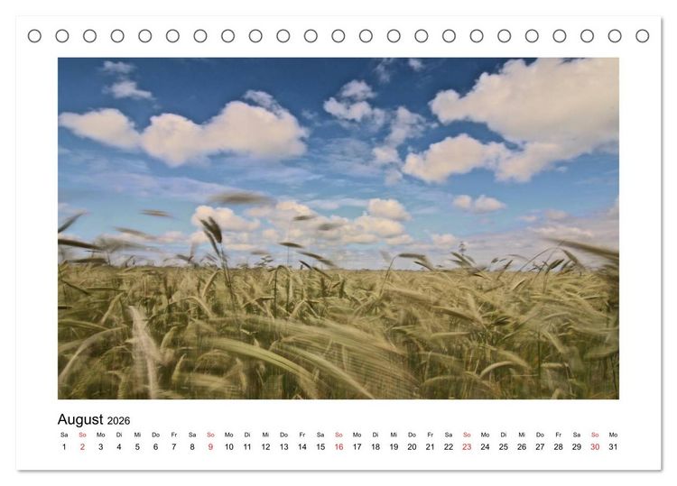 Produktbild: Sylt - Tage am Meer (Tischkalender 2026 DIN A5 quer), CALVENDO Monatskalender