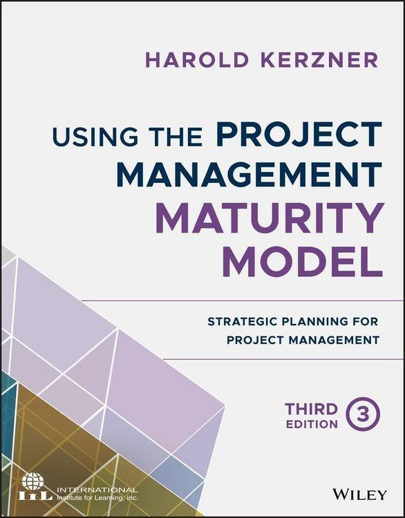 Produktbild: Using the Project Management Maturity Model