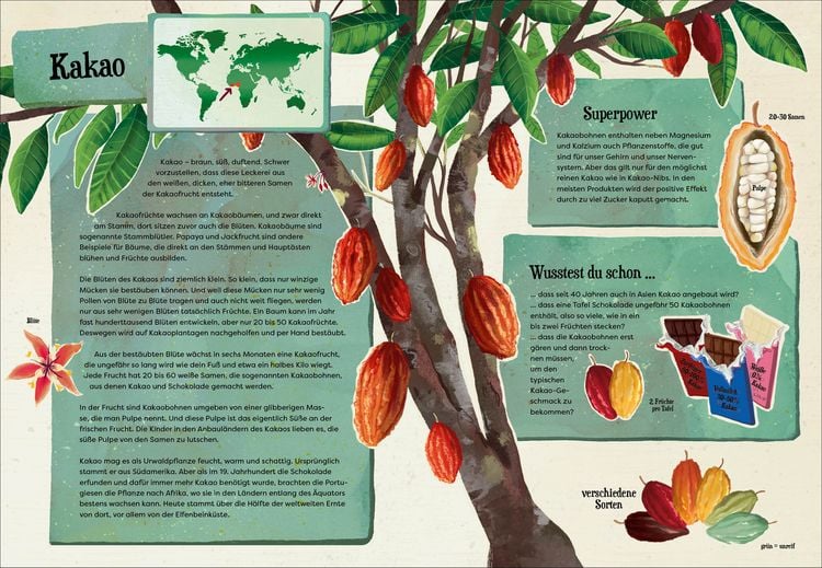 Produktbild: Wei&szlig;t du, wo der Pfeffer w&auml;chst? &ndash; Erstaunliches Wissen von Ananas bis Zimt