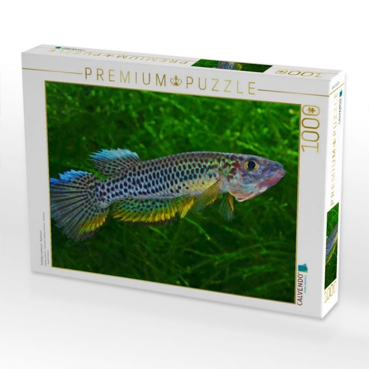 Produktbild: CALVENDO Puzzle Epiplatys esekanus - Kamerun | 1000 Teile Lege-Gr&ouml;&szlig;e 64x48cm Foto-Puzzle f&uuml;r gl&uuml;ckliche Stunden