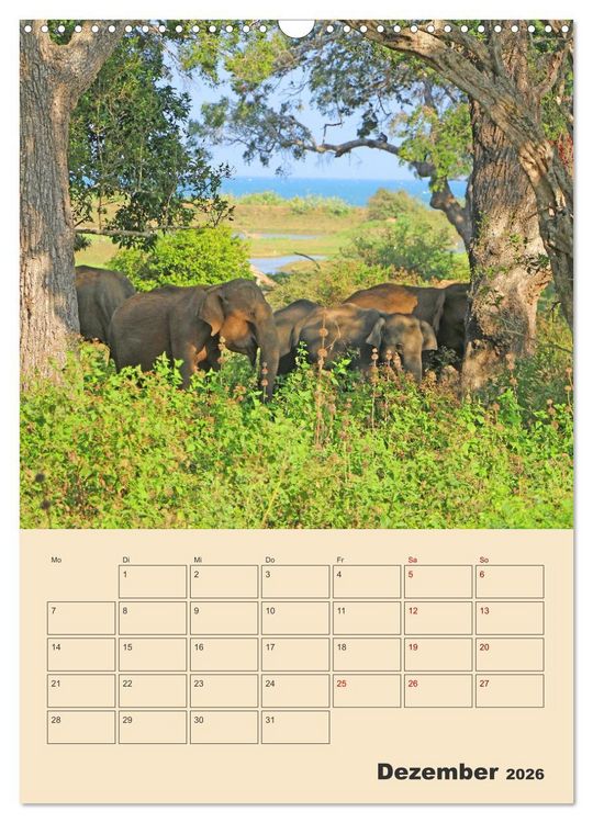 Produktbild: Sri Lanka - Terminplaner (Wandkalender 2026 DIN A3 hoch), CALVENDO Monatskalender