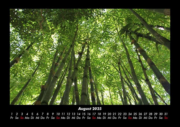 Produktbild: Waldzauber 2025 Fotokalender DIN A3