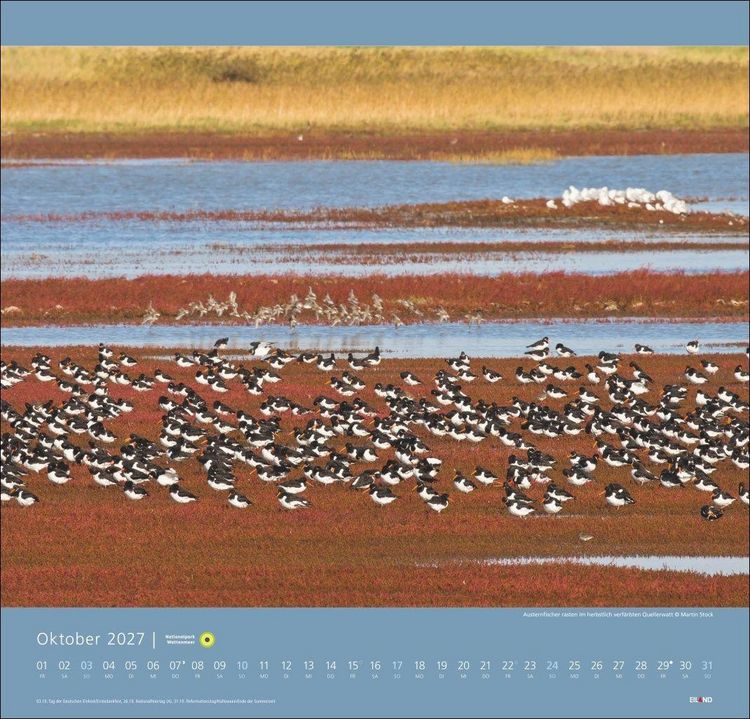 Produktbild: Nationalpark Wattenmeer Edition Kalender 2027 - Martin Stock