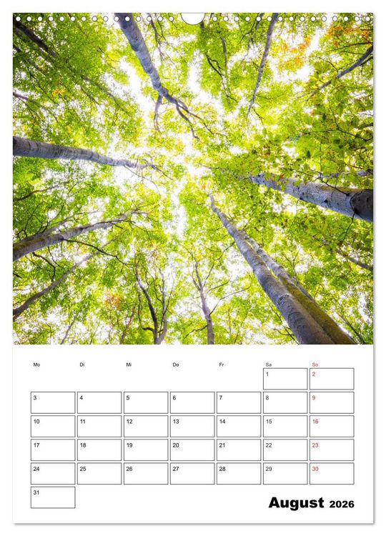 Produktbild: Insel R&uuml;gen - Wilde Sch&ouml;nheit an der Ostsee (Wandkalender 2026 DIN A3 hoch), CALVENDO Monatskalender