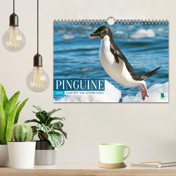 Produktbild: Pinguine: Gehupft wie gesprungen (Wandkalender 2026 DIN A4 quer), CALVENDO Monatskalender