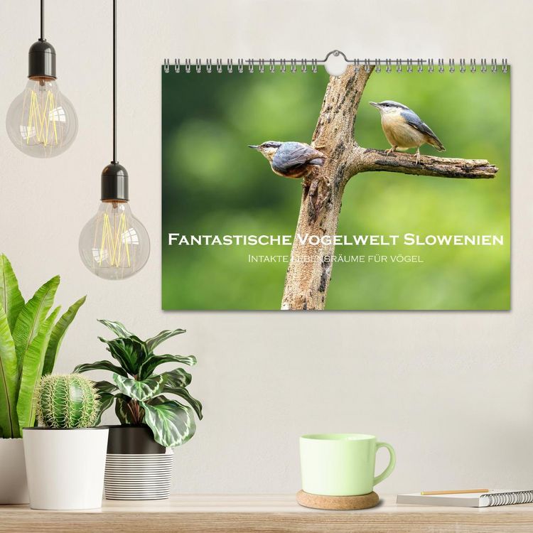 Produktbild: Fantastische Vogelwelt Slowenien (Wandkalender 2026 DIN A4 quer), CALVENDO Monatskalender