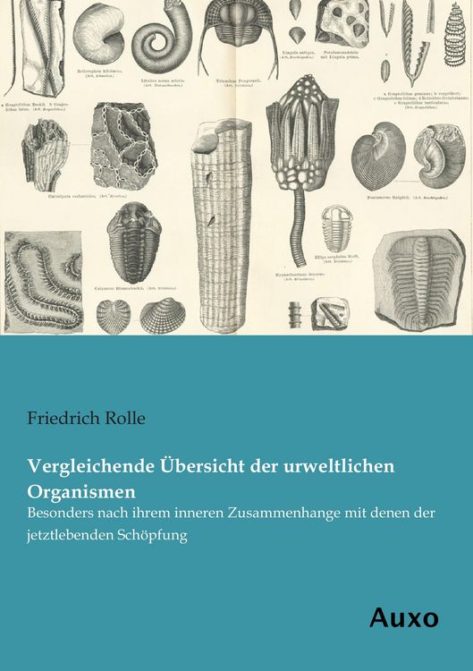 Produktbild: Vergleichende &Uuml;bersicht der urweltlichen Organismen