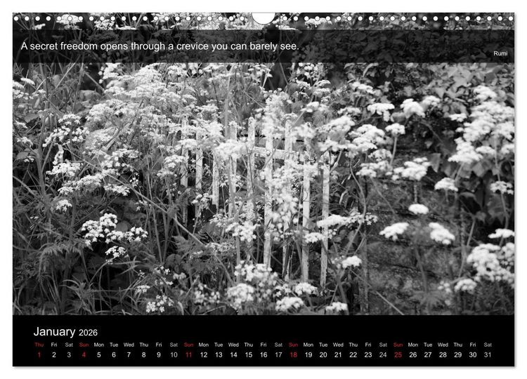 Produktbild: Through the Gate with Rumi (Wall Calendar 2026 DIN A3 landscape), CALVENDO 12 Month Wall Calendar