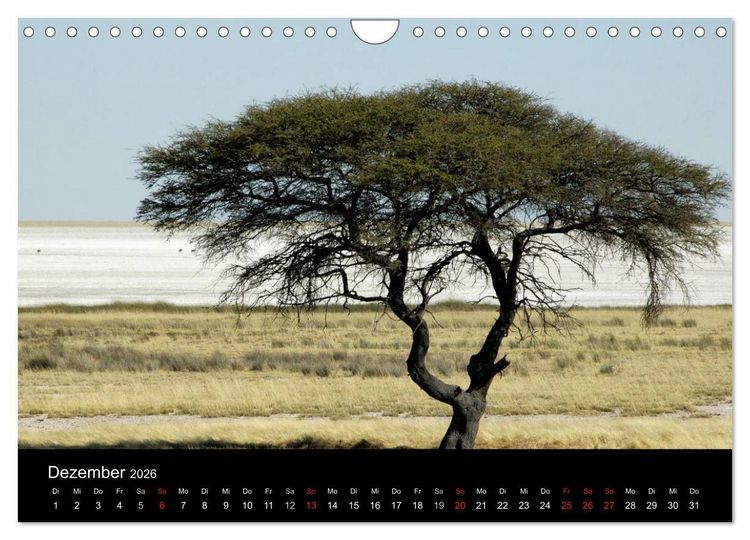 Produktbild: Afrika (Wandkalender 2026 DIN A4 quer), CALVENDO Monatskalender