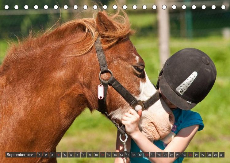 Produktbild: Pferd und Mensch in Harmonie (Tischkalender 2022 DIN A5 quer)