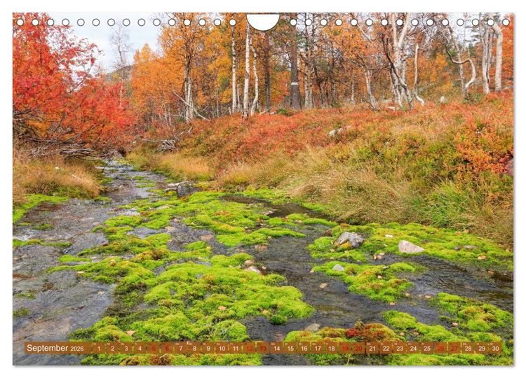 Produktbild: Finnisch Lappland (Wandkalender 2026 DIN A4 quer), CALVENDO Monatskalender