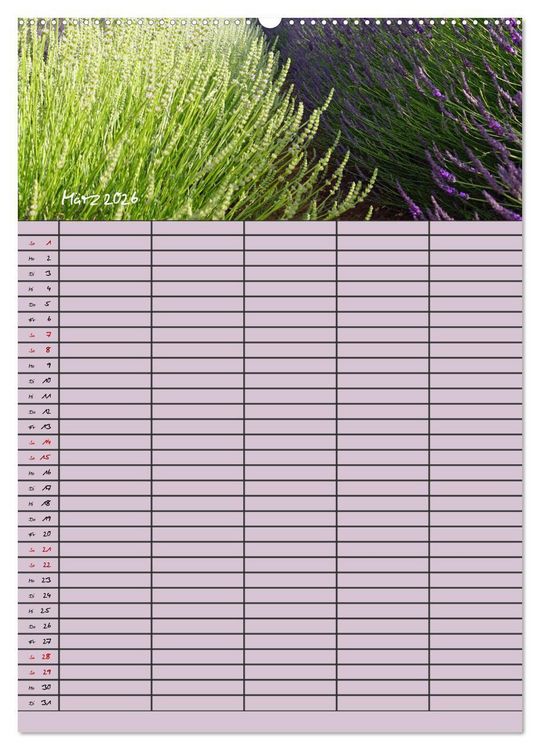 Produktbild: Naturzauber Lavendel - Familienplaner (Wandkalender 2026 DIN A2 hoch), CALVENDO Monatskalender