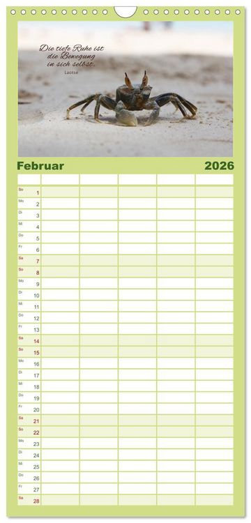 Produktbild: Familienplaner 2026 - Ruhe und Gelassenheit 2026 mit 5 Spalten (Wandkalender, 21 x 45 cm) CALVENDO
