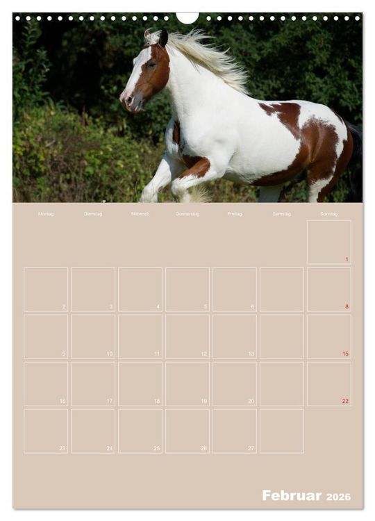 Produktbild: Pferde / Planer (Wandkalender 2026 DIN A3 hoch), CALVENDO Monatskalender