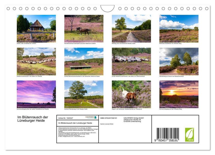 Produktbild: Im Bl&uuml;tenrausch der L&uuml;neburger Heide (Wandkalender 2026 DIN A4 quer), CALVENDO Monatskalender