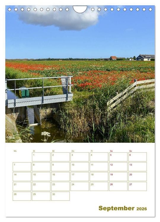 Produktbild: Texel - Momente die verzaubern (Wandkalender 2026 DIN A4 hoch), CALVENDO Monatskalender