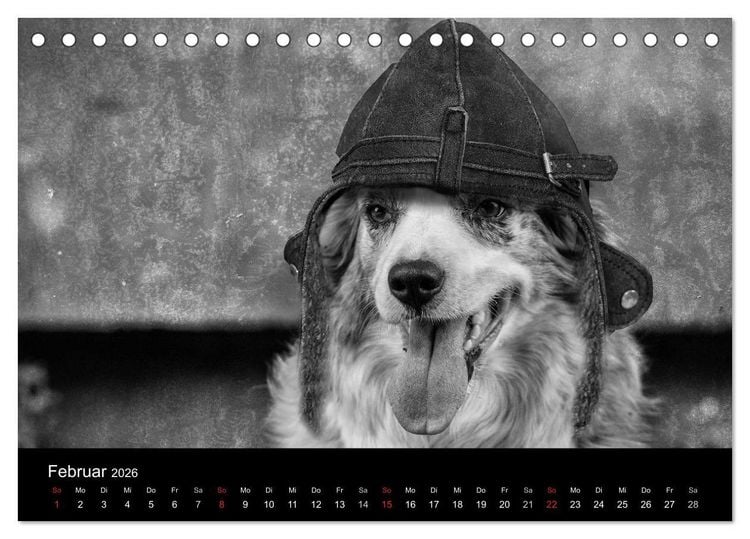 Produktbild: H&uuml;tehunde (Tischkalender 2026 DIN A5 quer), CALVENDO Monatskalender