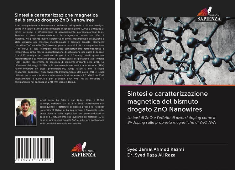 Produktbild: Sintesi e caratterizzazione magnetica del bismuto drogato ZnO Nanowires