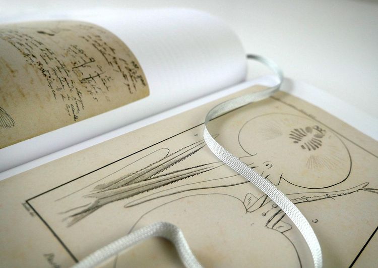 Produktbild: Alexander von Humboldt - Bilder-Welten