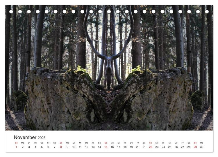 Produktbild: Spiegelwelten - Natur anders sehen (Tischkalender 2026 DIN A5 quer), CALVENDO Monatskalender