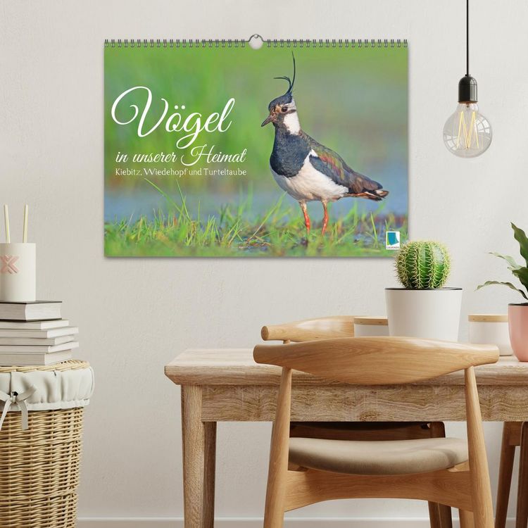 Produktbild: V&ouml;gel in unserer Heimat: Kiebitz, Wiedehopf und Turteltaube (Wandkalender 2026 DIN A3 quer), CALVENDO Monatskalender