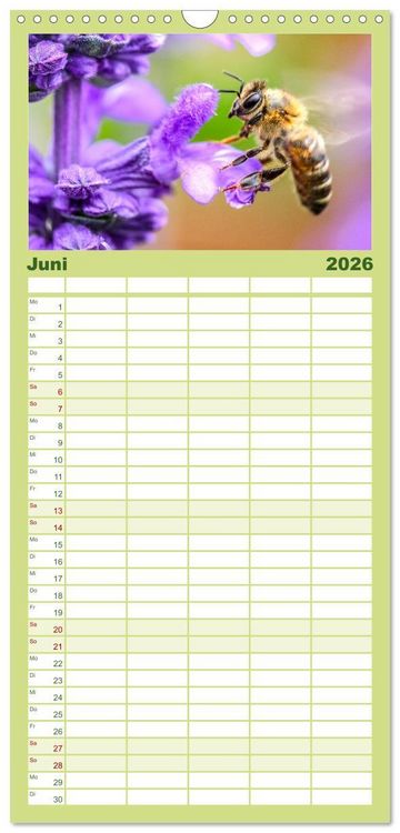 Produktbild: Familienplaner 2026 - Die Welt der flei&szlig;igen Bienen mit 5 Spalten (Wandkalender, 21 x 45 cm) CALVENDO
