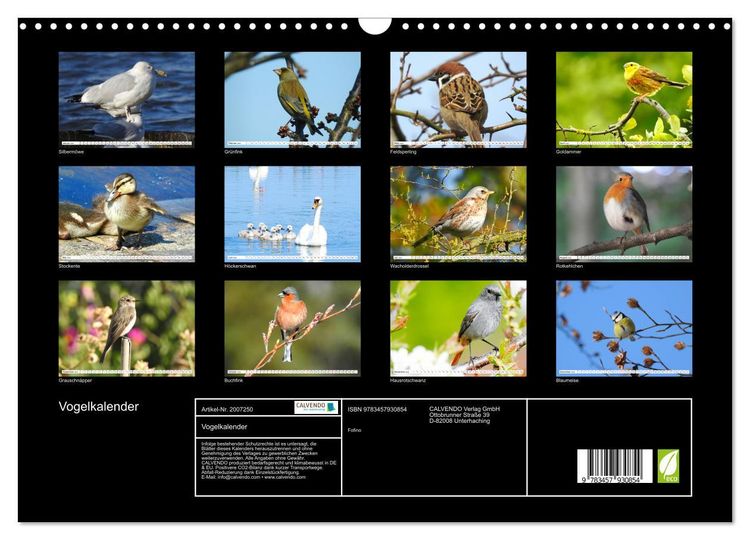 Produktbild: Vogelkalender (Wandkalender 2026 DIN A3 quer), CALVENDO Monatskalender