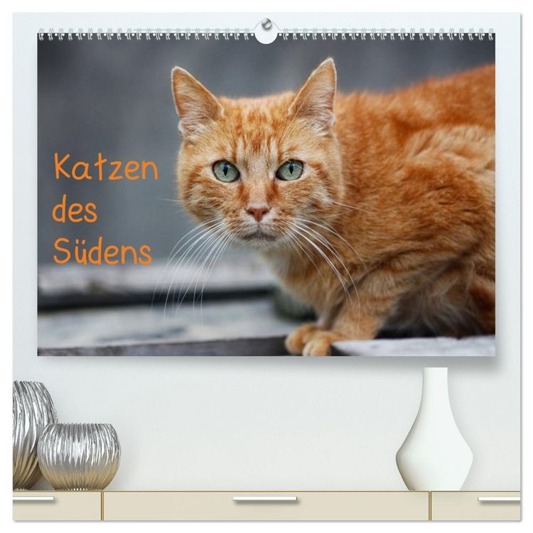 Produktbild: Katzen des S&uuml;dens (hochwertiger Premium Wandkalender 2026 DIN A2 quer), Kunstdruck in Hochglanz