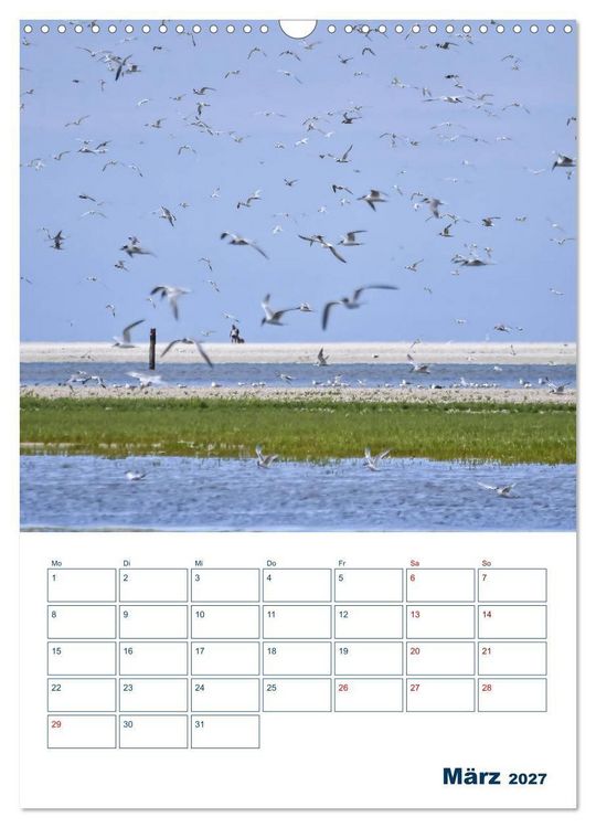 Produktbild: Texel - Momente die verzaubern (Wandkalender 2027 DIN A3 hoch), CALVENDO Monatskalender