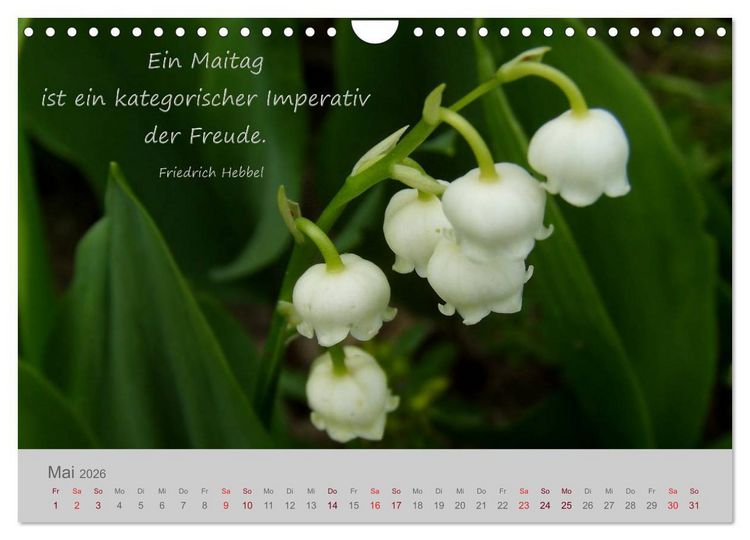 Produktbild: Jahres-Zeiten (Wandkalender 2026 DIN A4 quer), CALVENDO Monatskalender