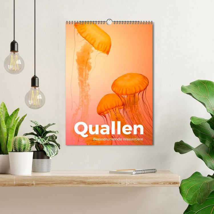 Produktbild: Quallen - Beeindruckende Wassertiere (Wandkalender 2026 DIN A3 hoch), CALVENDO Monatskalender