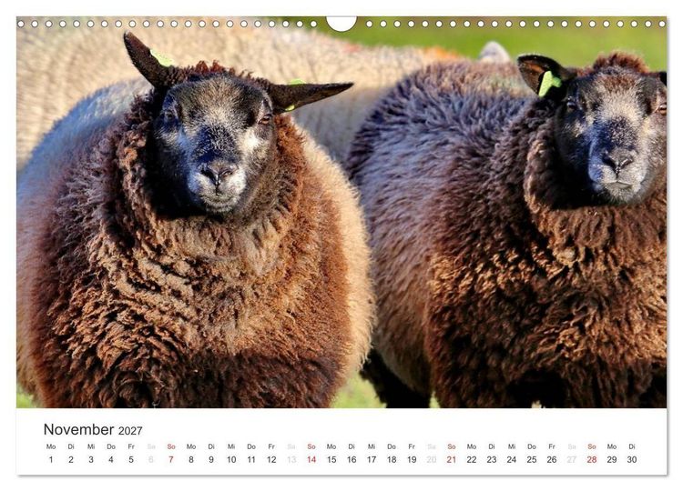 Produktbild: Texel &ndash; Eine Insel die verzaubert (Wandkalender 2027 DIN A3 quer), CALVENDO Monatskalender
