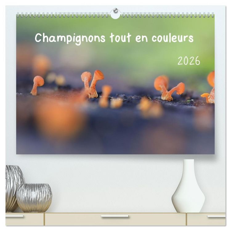 Produktbild: Champignons tout en couleurs (Calendrier mural 2026 DIN A2 vertical) calendrier de bureau