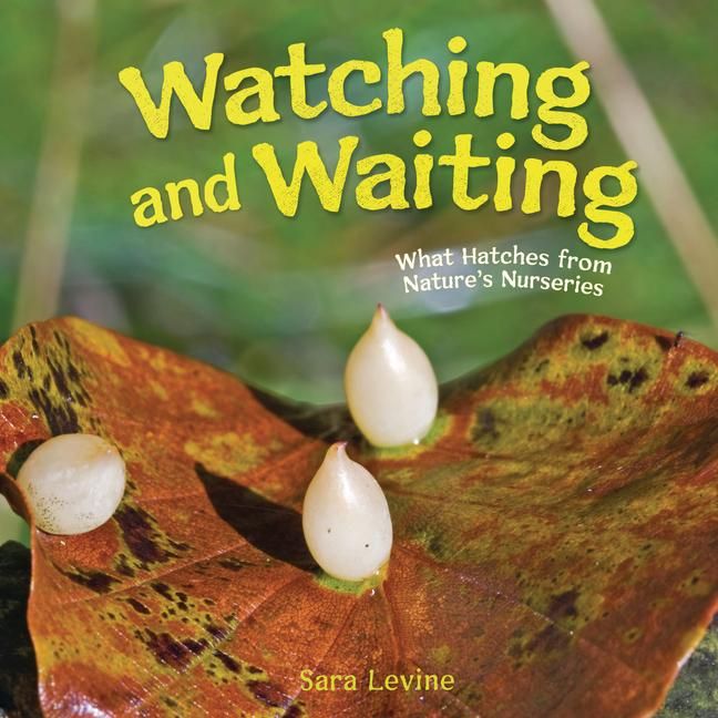 Produktbild: Watching and Waiting