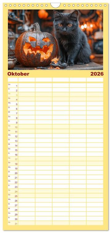Produktbild: Familienplaner 2026 - Momente eines Katzenbesitzers - Chaos der Samtpfoten mit 5 Spalten (Wandkalender, 21 x 45 cm) CALVENDO