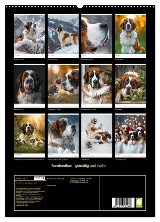 Produktbild: Bernhardiner - gutm&uuml;tig und tapfer (hochwertiger Premium Wandkalender 2026 DIN A2 hoch), Kunstdruck in Hochglanz