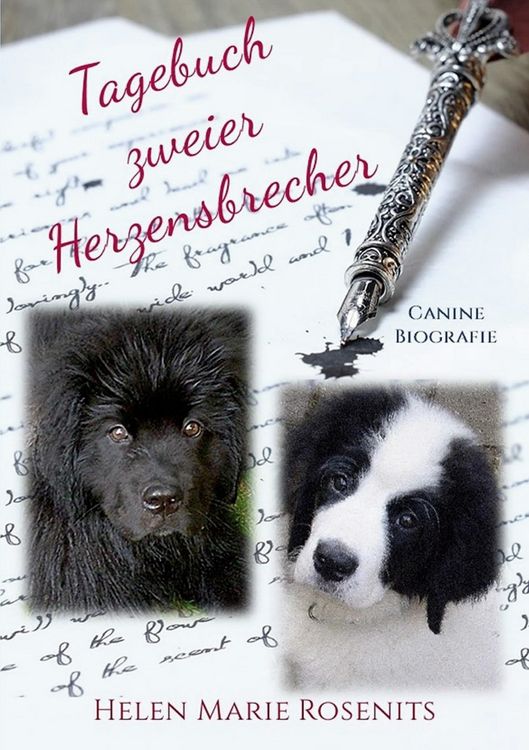 Produktbild: Tagebuch zweier Herzensbrecher