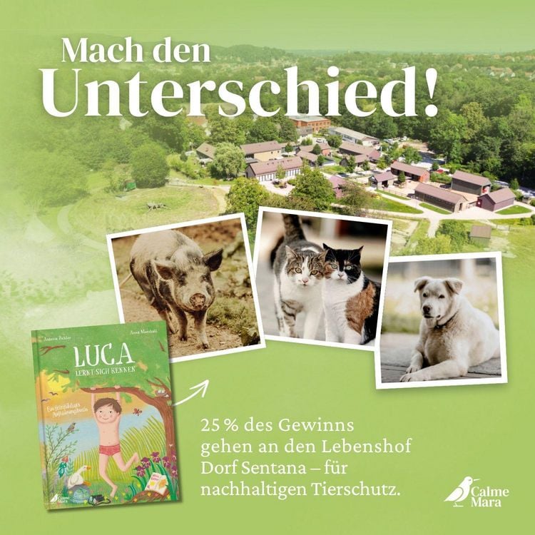Produktbild: Luca lernt sich kennen