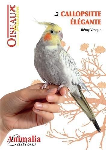 Produktbild: Calopsitte elegante nymphicus
