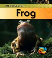 Produktbild: Life Cycle of a Frog