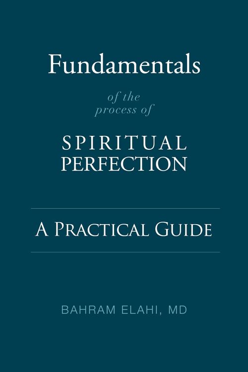 Produktbild: Fundamentals of the Process of Spiritual Perfection