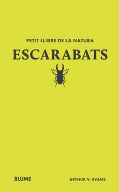 Produktbild: Escarabats