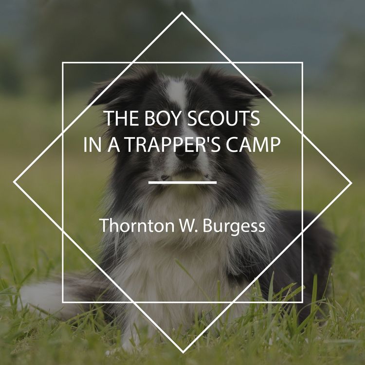 Produktbild: The Boy Scouts in a Trapper's Camp