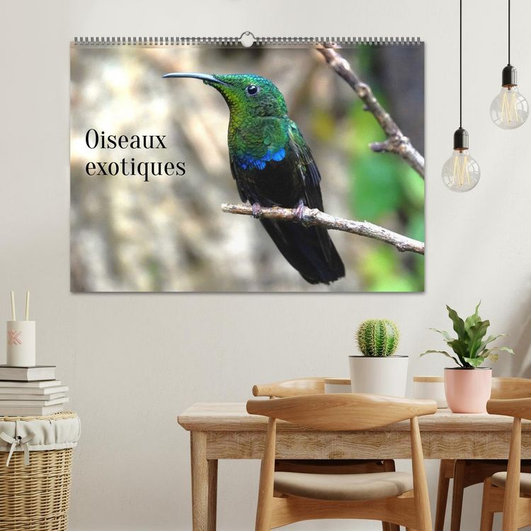 Produktbild: Oiseaux exotiques (Calendrier mural 2026 DIN A2 vertical), CALVENDO calendrier mensuel