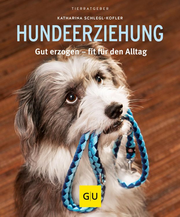 Produktbild: Hundeerziehung