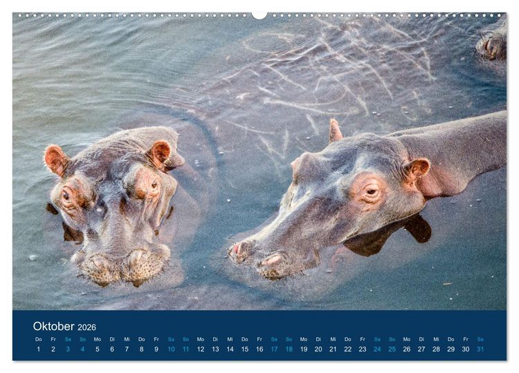 Produktbild: Nilpferde, Kolosse in Afrika (Wandkalender 2026 DIN A2 quer), CALVENDO Monatskalender