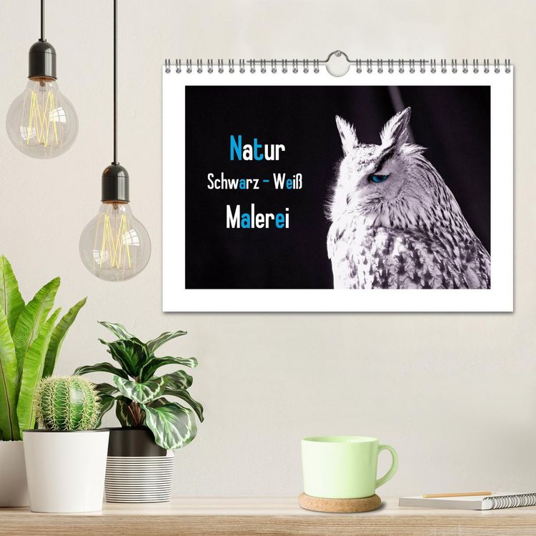Produktbild: Natur schwarz - wei&szlig; Malerei (Wandkalender 2026 DIN A4 quer), CALVENDO Monatskalender