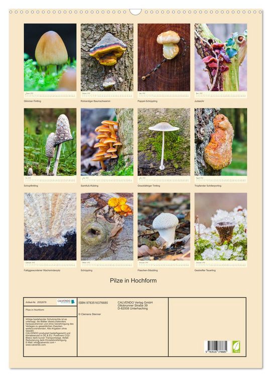 Produktbild: Pilze in Hochform (Wandkalender 2026 DIN A2 hoch), CALVENDO Monatskalender