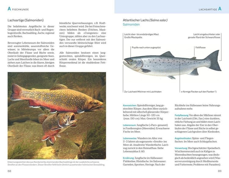 Produktbild: Fischerpr&uuml;fung