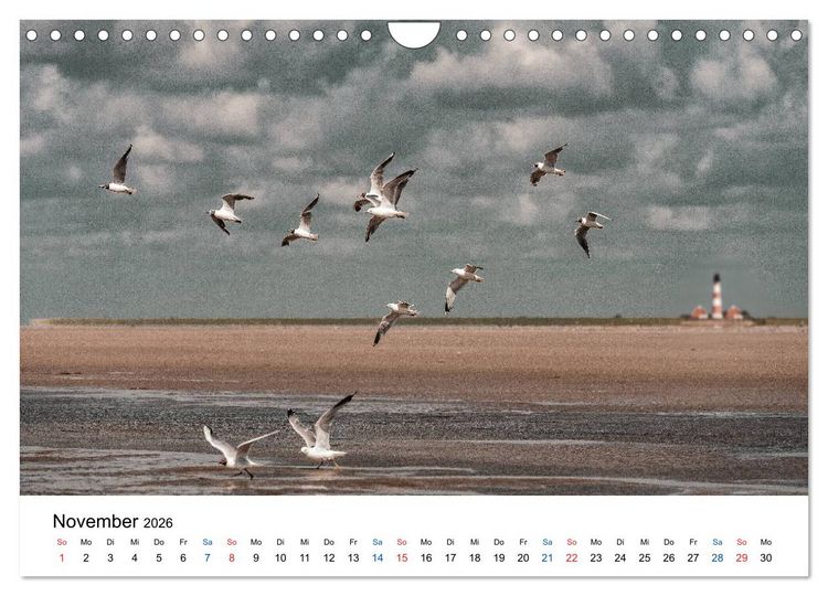 Produktbild: Lichtstimmungen in Sankt Peter-Ording (Wandkalender 2026 DIN A4 quer), CALVENDO Monatskalender
